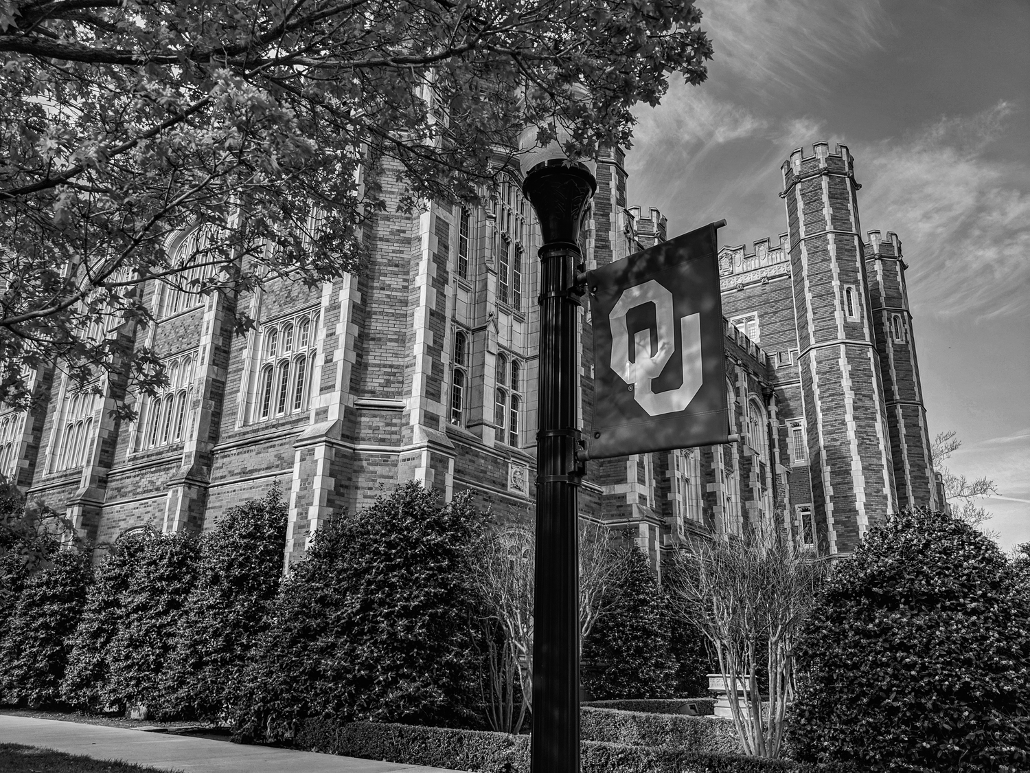 Campus universitaire aux États-Unis