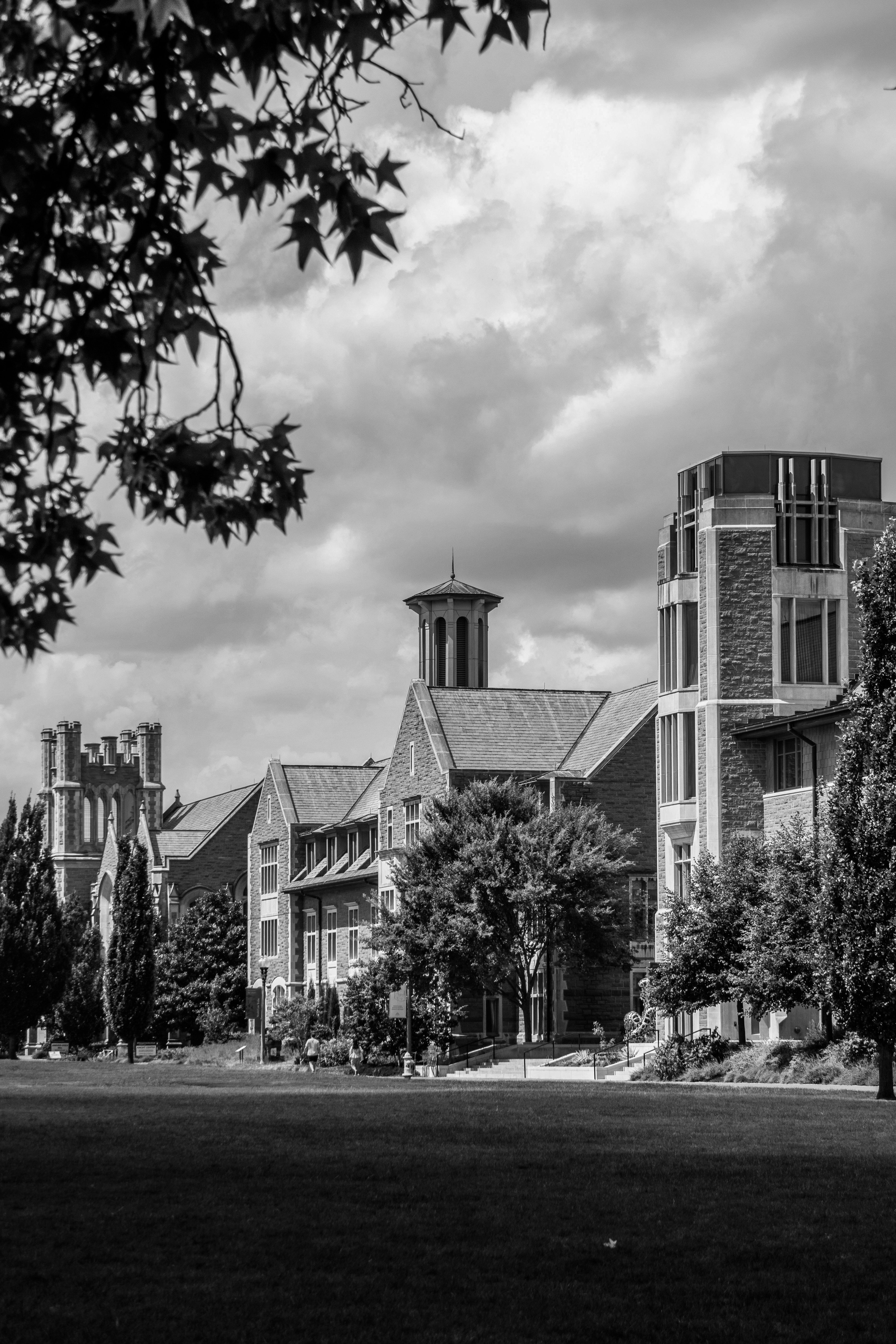 Université américaine et environnement étudiant-athlète